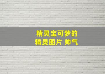 精灵宝可梦的精灵图片 帅气